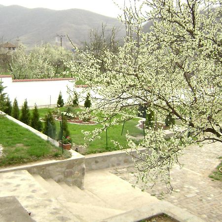 Pension Casa Natura Бэиле-Еркулане Экстерьер фото