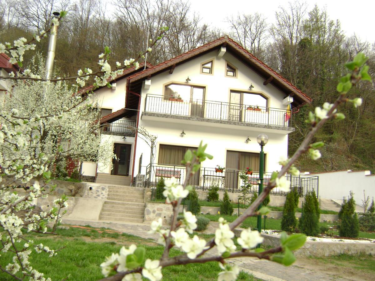 Pension Casa Natura Бэиле-Еркулане Экстерьер фото