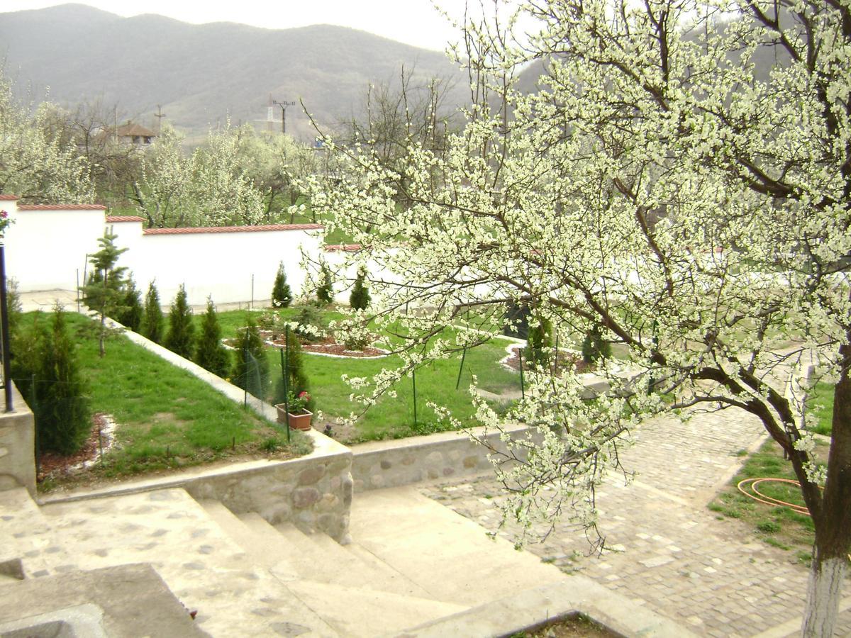 Pension Casa Natura Бэиле-Еркулане Экстерьер фото
