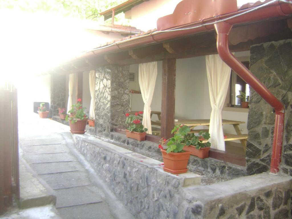 Pension Casa Natura Бэиле-Еркулане Экстерьер фото