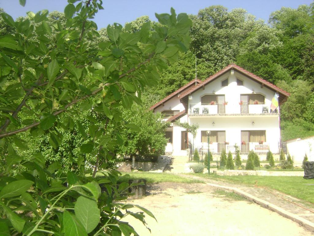 Pension Casa Natura Бэиле-Еркулане Экстерьер фото