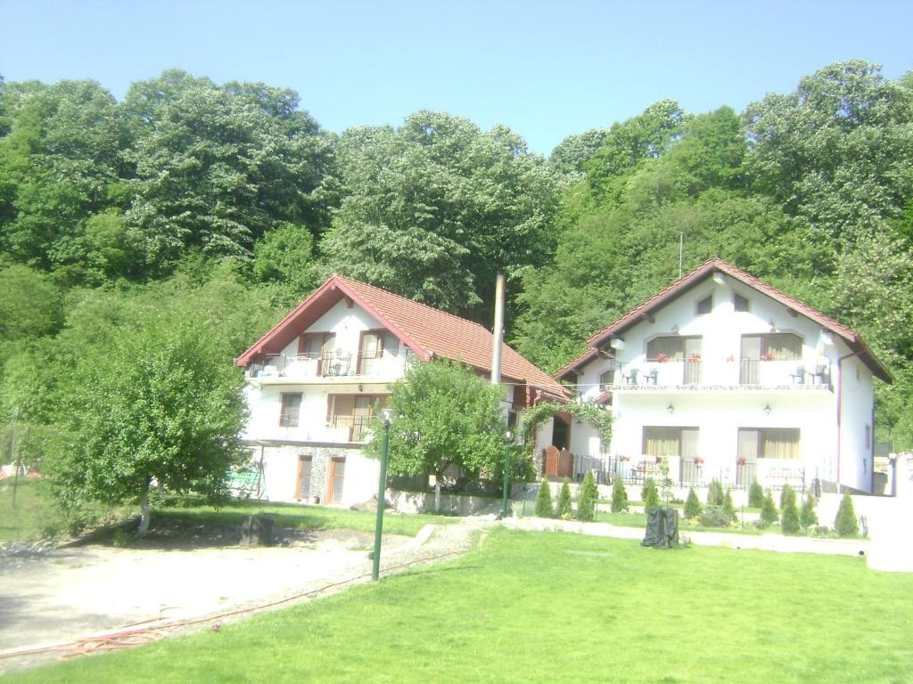 Pension Casa Natura Бэиле-Еркулане Экстерьер фото