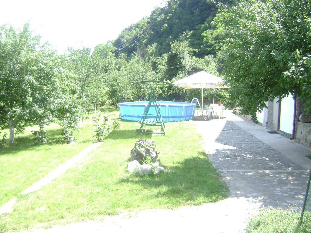 Pension Casa Natura Бэиле-Еркулане Экстерьер фото