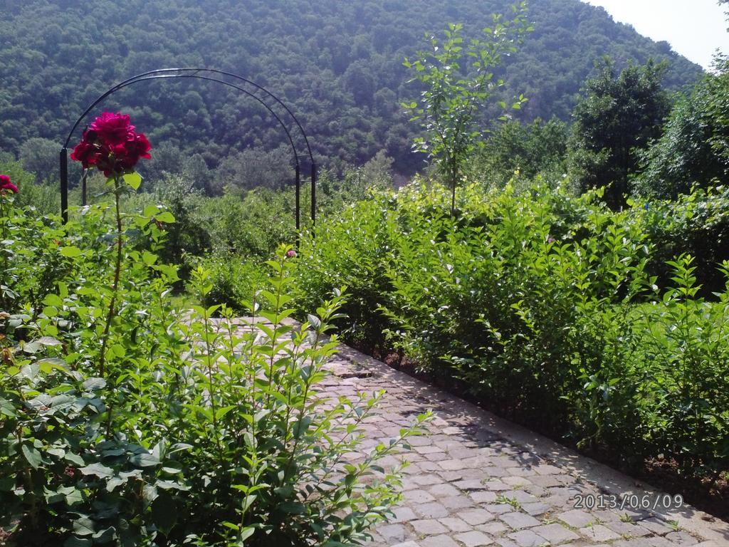 Pension Casa Natura Бэиле-Еркулане Экстерьер фото