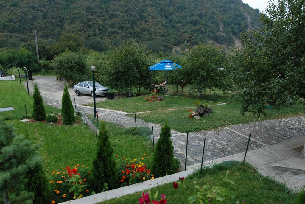 Pension Casa Natura Бэиле-Еркулане Экстерьер фото
