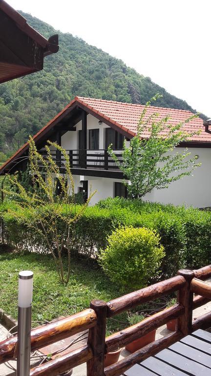 Pension Casa Natura Бэиле-Еркулане Экстерьер фото
