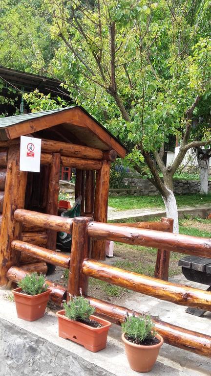 Pension Casa Natura Бэиле-Еркулане Экстерьер фото