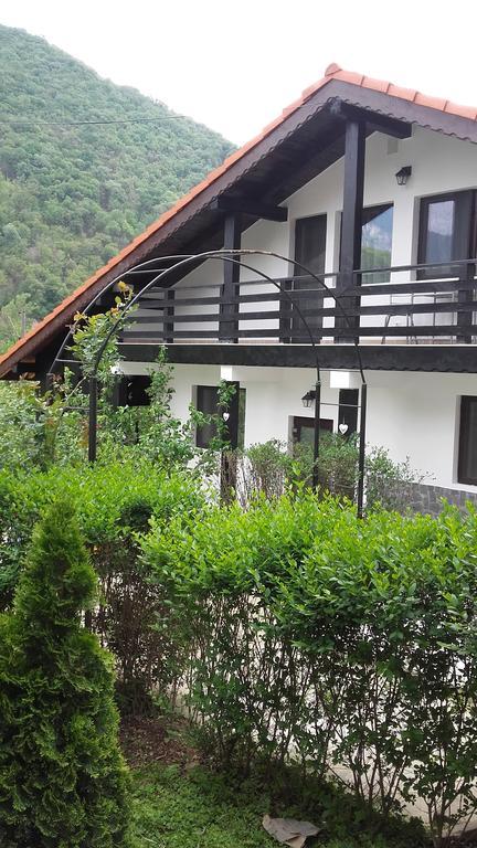 Pension Casa Natura Бэиле-Еркулане Экстерьер фото