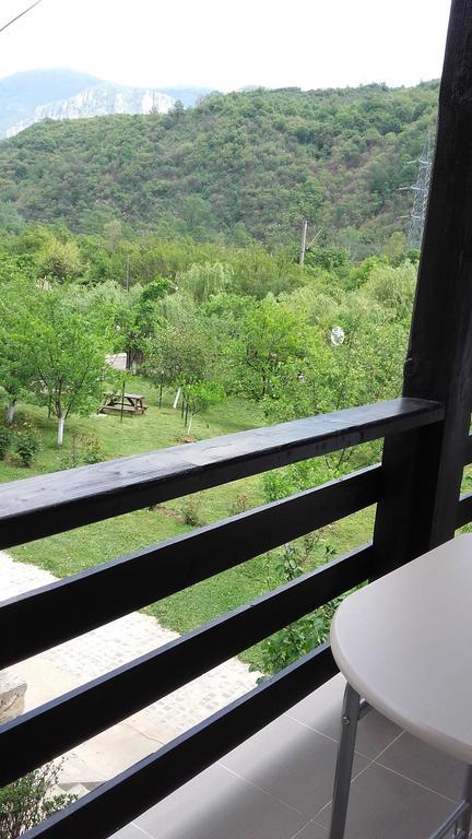 Pension Casa Natura Бэиле-Еркулане Экстерьер фото