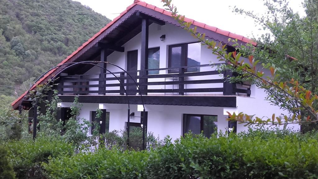 Pension Casa Natura Бэиле-Еркулане Экстерьер фото